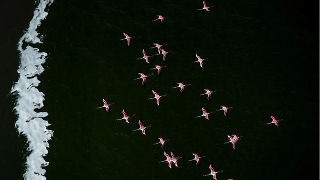 Drone Awards 2020: las mejores fotos aéreas durante la pandemia