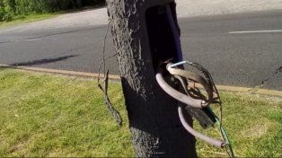 La Municipalidad de Paraná denunció el robo de 250 columnas y 2.500 metros de cable que retrasan la ejecución de nuevas obras en la ciudad