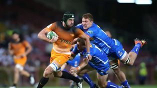 Primer ensayo para Jaguares antes del Super Rugby