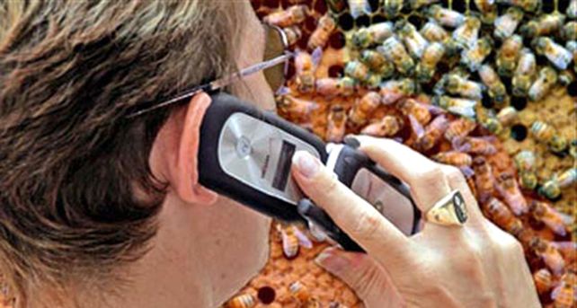 Los tumores son m&aacute;s frecuentes del lado que se usa el tel&eacute;fono celular