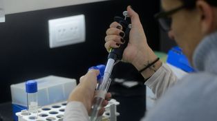 La formación para estudiantes de grado, se enmarca en un acuerdo de la universidad pública con el Howard Hughes Medical Institute con sede en EEUU.
