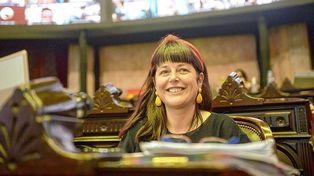 Gaillard: Es fundamental el nuevo marco legal para cannabis medicinal