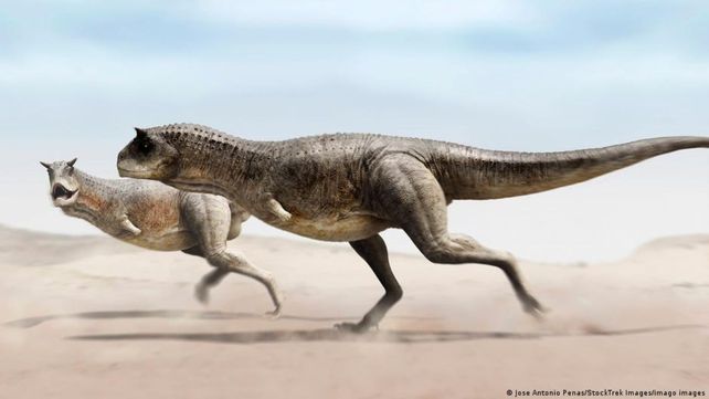 Guemesia ochoai podría haberse parecido a parientes como los Carnotaurus.
