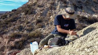 Paleontólogos del CONICET participan de la primera campaña transmitida en vivo para buscar dinosaurios en la estepa patagónica
