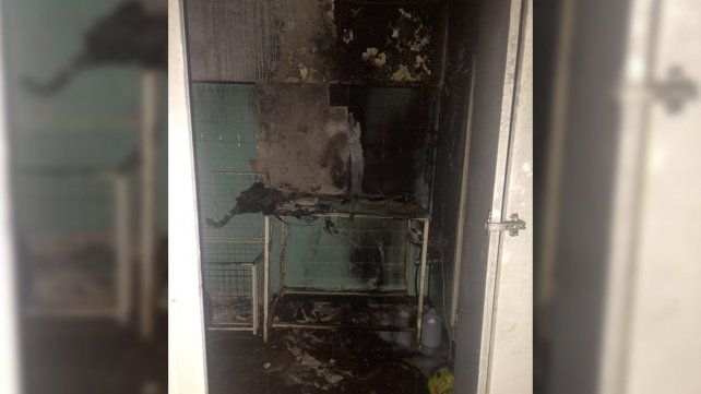 Una veterinaria sufrió un incendio en Paraná.