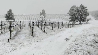 Rescataron al contingente de alumnos rosarinos varado por la nieve en el Champaquí