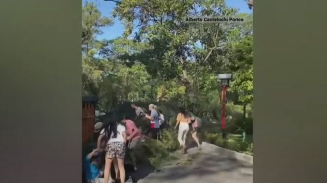 El momento en que intentan rescatar a los turistas heridos