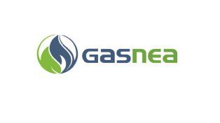 Gas NEA