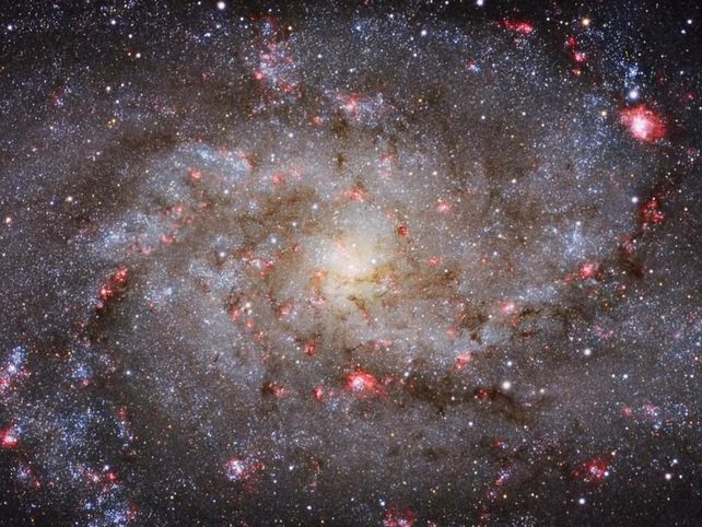 Galaxias GANADOR CATEGORÍA: GALAXIAS Michael van Doorn (Holanda) ha sido el ganador en esta categoría gracias a su fotografía de la Galaxia del Triángulo o M33