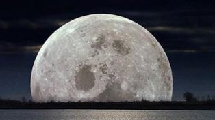 Descubren agua en un cr&aacute;ter de la Luna