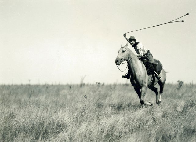 ¿Sabés de dónde provienen las palabras boludo y pelotudo?