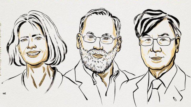 El premio Nobel de Medicina 2025 fue otorgado a Mary E. Brunkow
