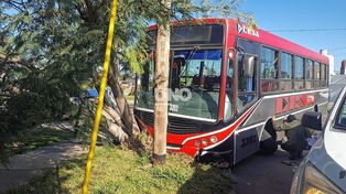 Así terminó el colectivo de la Línea 9 tras colisionar con un árbol.&nbsp;