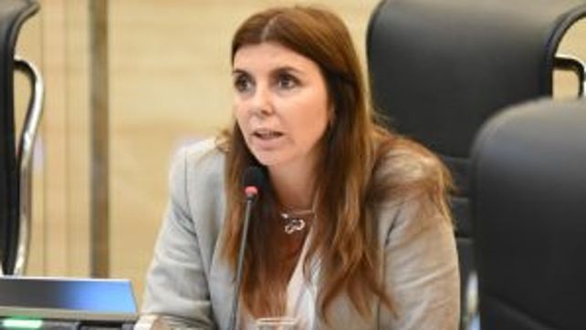 La concejala Germana Figueroa Casas&nbsp;present&oacute;&nbsp;el proyecto.