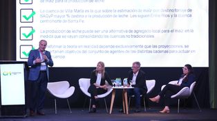 Leche y maíz: Si el tambero es un buen agricultor, baja los costos y mejora su negocio