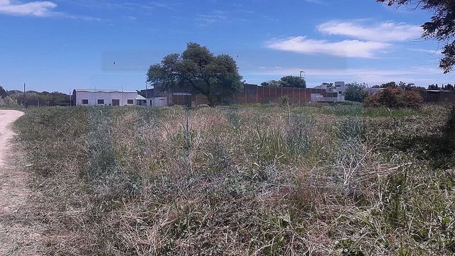 Paraná: un techo propio sin importar cómo
