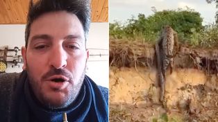 Confesó el influencer de pesca que viralizó el video del yaguareté con una boa y admitió que fue filmado en Brasil.