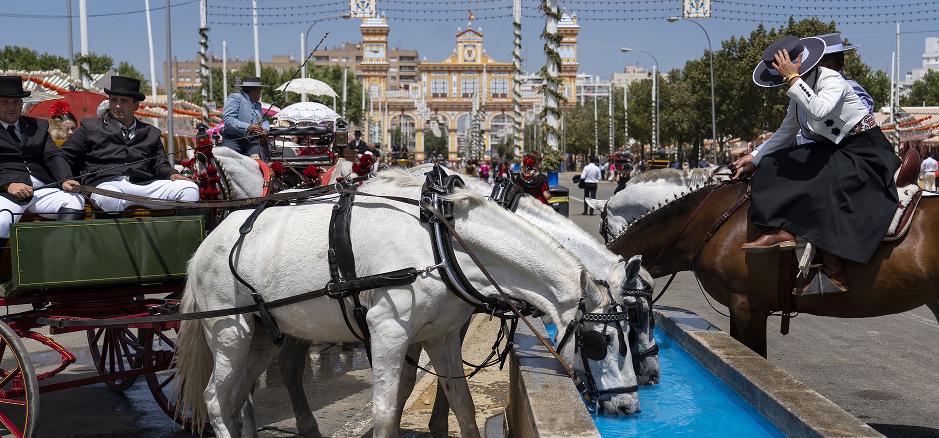 Caballos usados de carruajes turísticos y beben agua en la tradicional Feria de Abril anual en Sevilla, España, el jueves 27 de abril de 2023. El servicio meteorológico nacional de España dijo que las temperaturas 