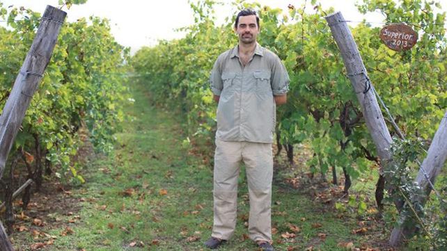 Mis padres transformaron un campo de soja en viñedo