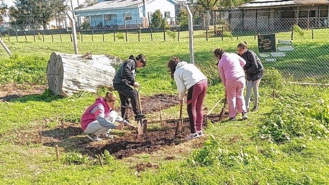 En la escuela Juan XXIII de Villa Fontana los alumnos trabajan en la huerta.