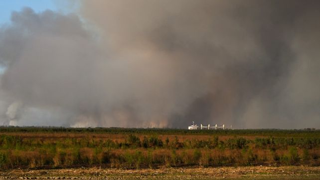 Incendio de grandes proporciones frente a la costa nicoleña. (Foto: MH)