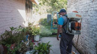 Confirman 12 casos de dengue autóctono en Paraná