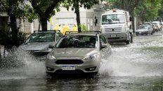 temporal en rosario: 50 milimetros de lluvia en una hora, calles anegadas y arboles caidos temporal en rosario: 50 milimetros de lluvia en una hora, calles anegadas y arboles caidos