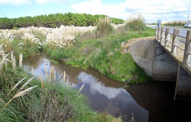 No logran determinar el sexo del cuerpo mutilado encontrado en Miramar