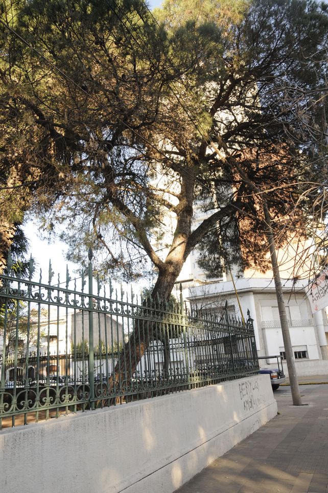 Buscan que la historia de San Martín se mantenga viva en la ciudad