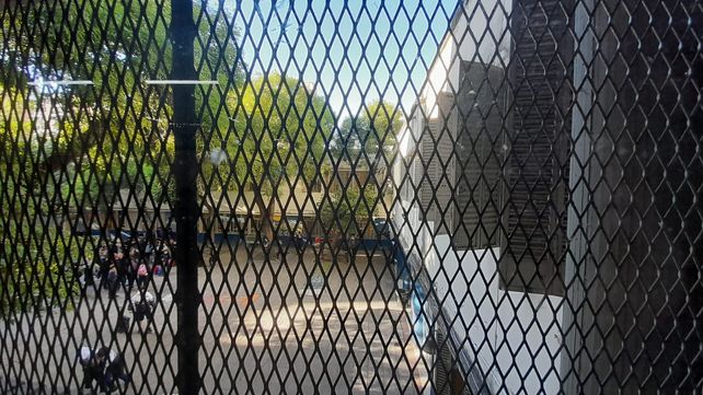 Invasión de palomas: suspendieron clases en una escuela céntrica por picaduras de piojillos