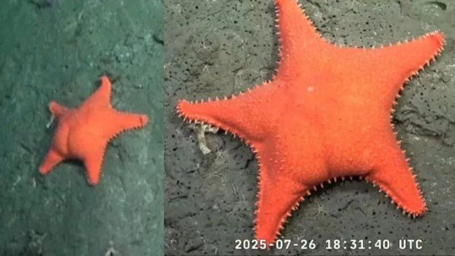 Se despidió Vida en los extremos