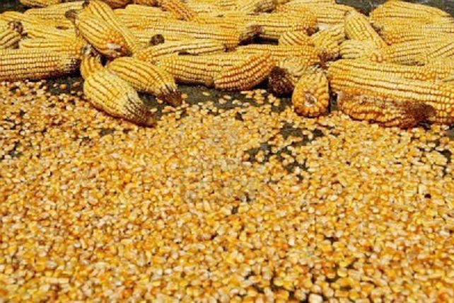 ¡Lluvias imposibles! 10 objetos insólitos que cayeron del cielo