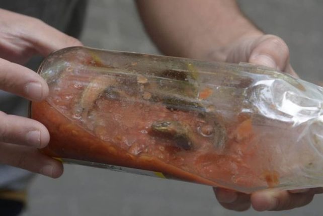 Insólito: encontraron una víbora adentro de una botella de salsa
