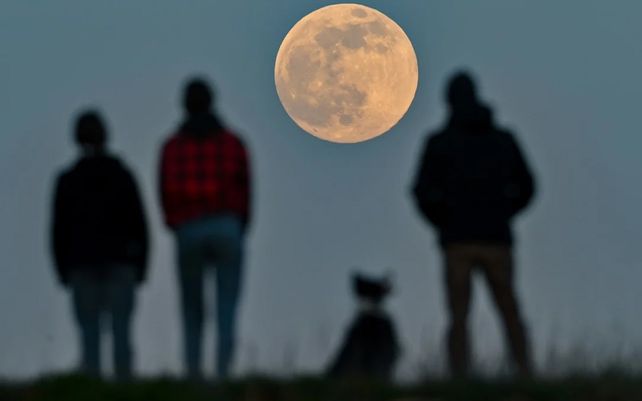 La gente se para en una colina y observa la luna en Brandemburgo