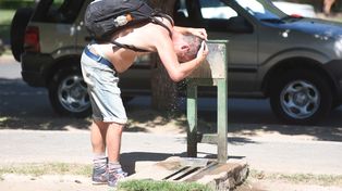 Se viene el verano: qué es y cómo funciona el sistema de alerta temprana de temperaturas extremas