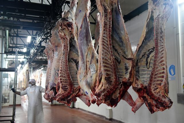 Conflicto. El gobierno nacional cerró termporalmente las exportaciones de carne