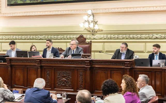 Michlig conduciendo la sesión de once horas que aprobó los cambios en el Poder Judicial.