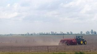 Lote con soja temprana en pleno proceso de siembra, en el centro del departamento Castellanos.