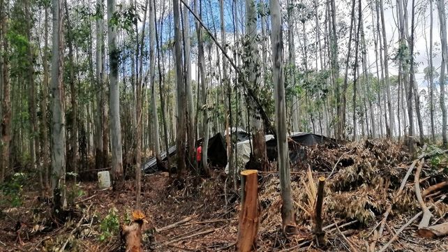 Detenidos por explotar a siete obreros y un niño en un campo