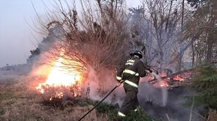 Quema de pastizales: el fin de semana pasado se intervinieron 47 focos ígneos en la ciudad