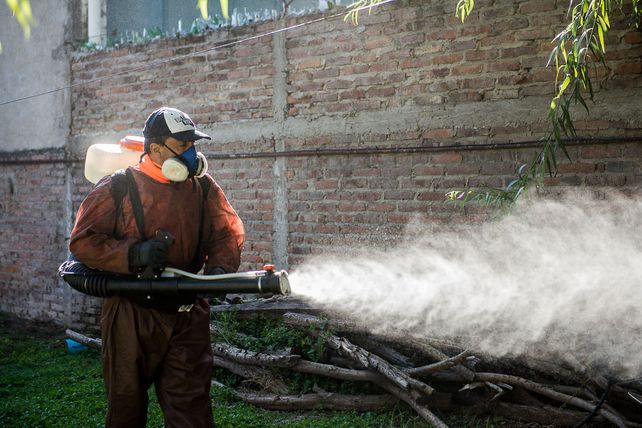 En Paran&aacute;. La cifra supera los 60 casos confirmados de dengue.