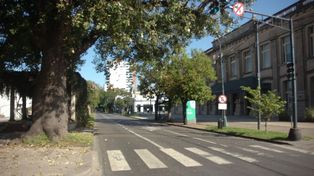 Cuarentena: las medidas continuarán hasta la llegada de la primavera