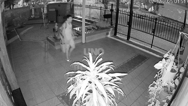 El delincuente fue captado por las cámaras de seguridad de alguna de las víctimas 