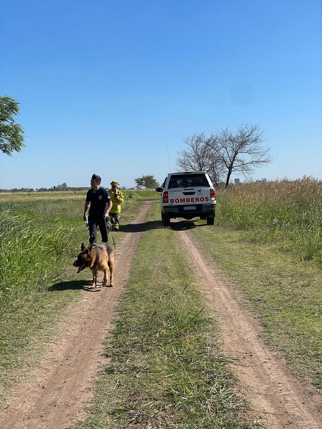 Héroes sin capa: la historia de los equipos que conforman policías y bomberos junto a perros adiestrados