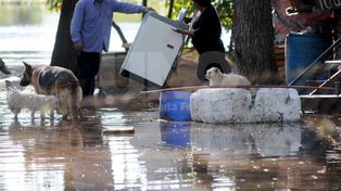 Los vecinos de la costa, preocupados por el río, pedirán respuestas al gobierno