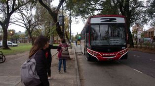 Sigue el paro de colectivos hasta que se paguen los salarios