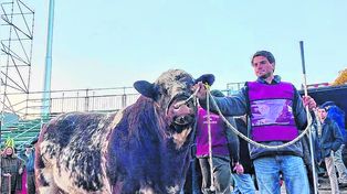 La Rural mostró el camino de la recuperación ganadera