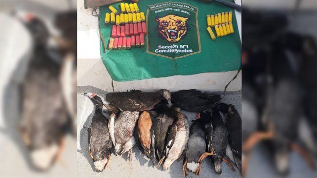 Depredadores de la fauna: los sorprenden e incautan patos, armas, cartuchos y lancha