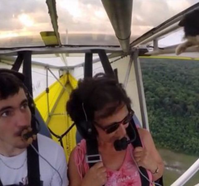 La sorprendente y divertida historia de un gato polizón que viajó en un ultraligero