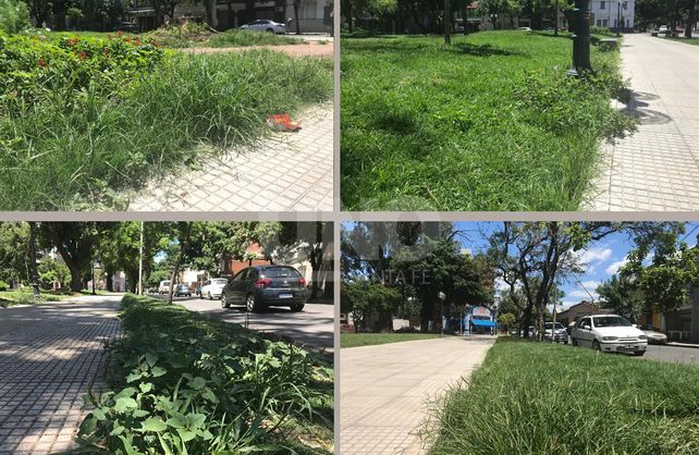 Plaza Pueyrredón. Los vecinos reclaman el corte de yuyos y mayor mantenimiento municipal